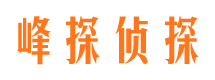 西市侦探公司